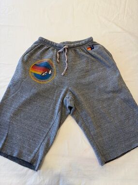 Aviator Nation men’s size Gray Men’s size Small Shorts with Rainbow Graphic